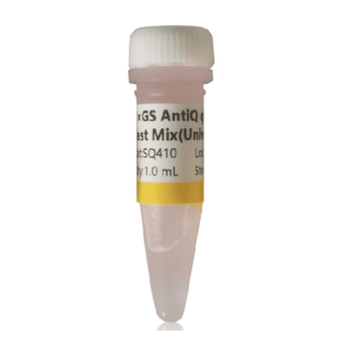 SYBR Green Real-Time PCR Master Mix